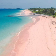 Pink Sands Beach